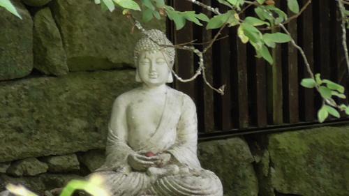 Molares Other | Tienda de Campaña en Ecoaldea Vegana Espiral en Plena naturaleza con comida y cena incluida