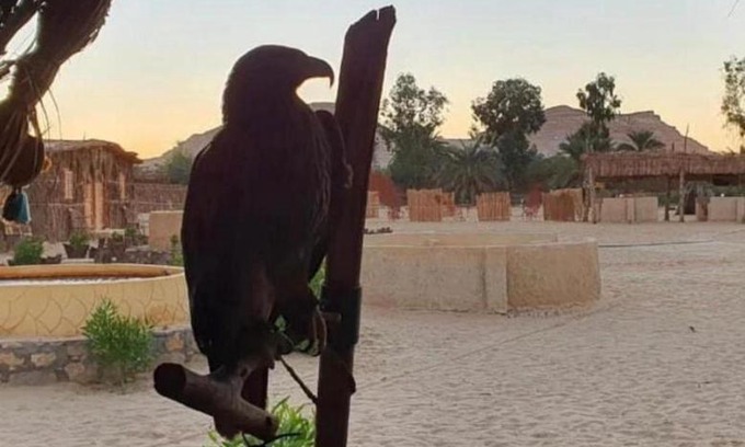Siwa Hotel | Tijan Siwa