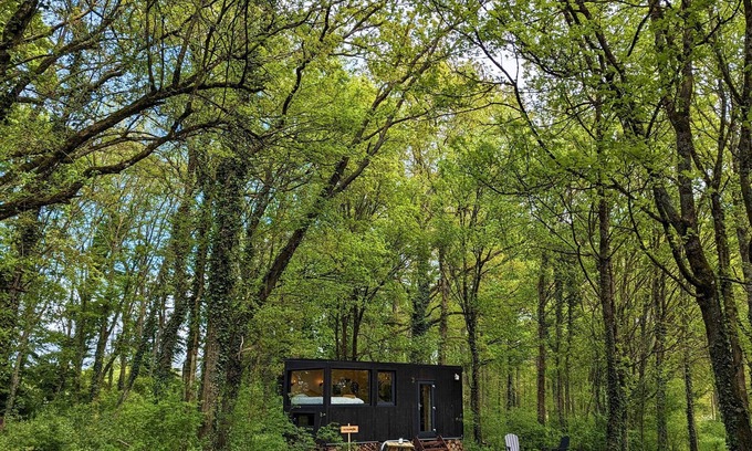 Sonchamp Cabin | Tiny House La Clairière Au Cœur de la Forêt !