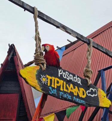 Bocachica House | Tipiland baru la casa del mono