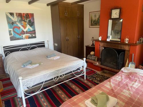 Lake Plastiras House | To σαλέ της λίμνης 2