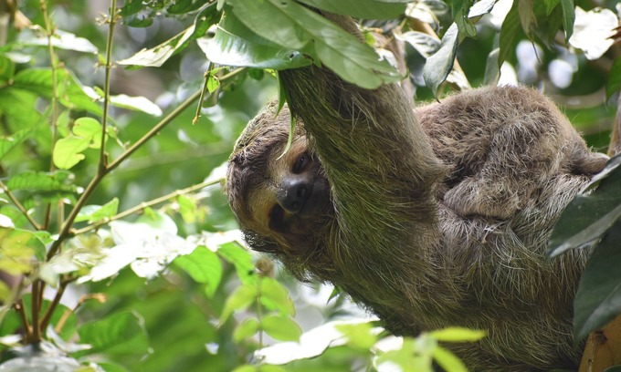 El Cerro House | Top spot with daily wildlife visit & nature Views
