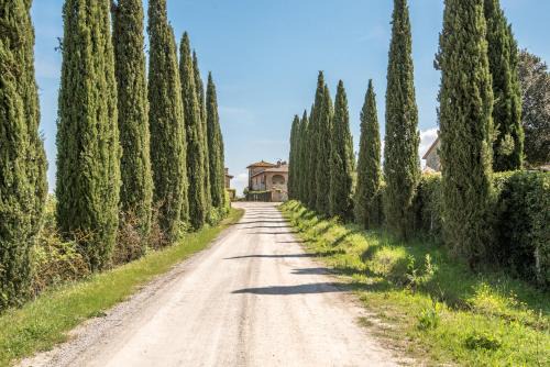 Ville di Corsano Apartment | Torre di Corsanello