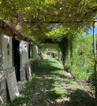 Rieti Bed & Breakfast | Tra Fiori e Antichità