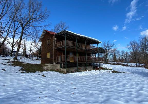 Lake Plastiras Apartment | Traditional Wooden Apartment