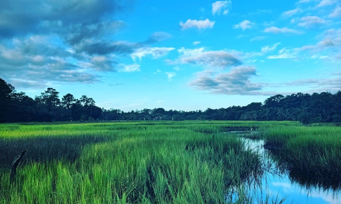 Redhill Cottage | Tranquil Water Front cottage, 35 Min to Charleston, Beach 20 min, Pet-Friendly