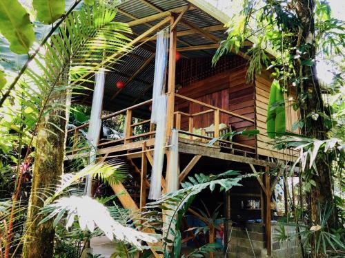 Manzanillo House | Tranquila