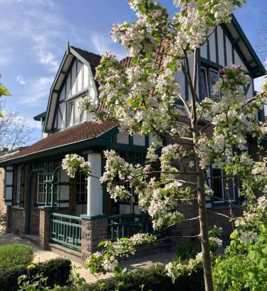 Assebroek Bed & Breakfast | Tree & B