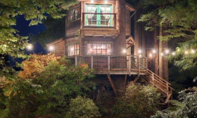 Trinidad House | Tree House Master