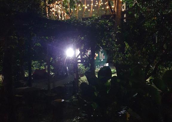 Karangan Other | Tree Top Glamping Dusun Anum