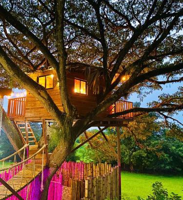 El Cerrito House | Treehouse