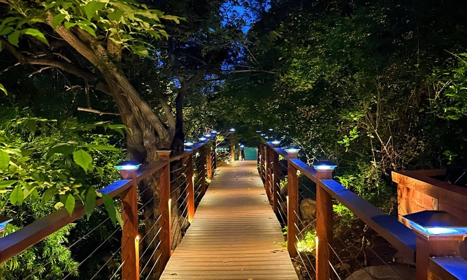 Mount Helix House | Tropical Hideaway 15 minutes from downtown and beaches!