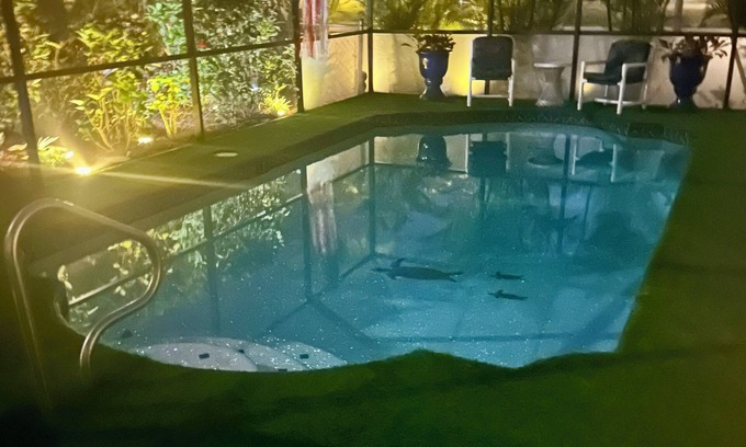 Caloosahatchee House | Tropical Snowbird Retreat with Heated Pool