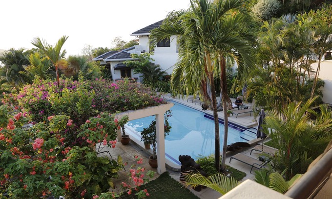 Playa Flamingo Villa | Tropical Villa with Pool and Spectacular Views! Villas Casa Loma - Suite 103