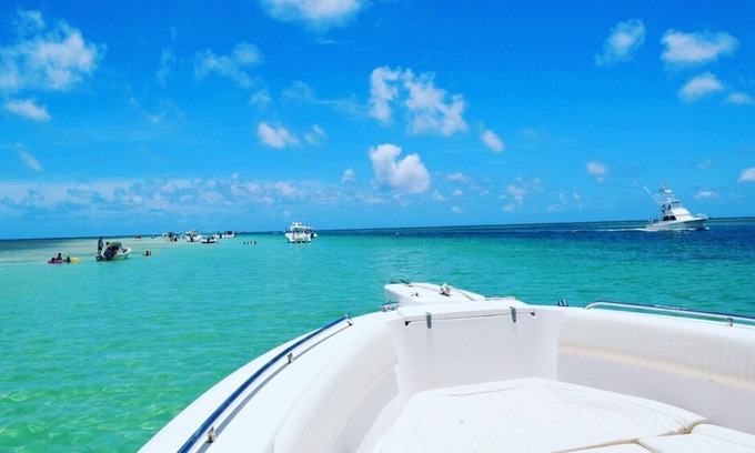 Venetian Shores House | Tropical Waterfront Paradise!