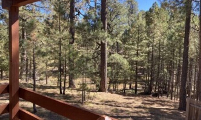Heber Cabin | Trout Springs Cabin #4