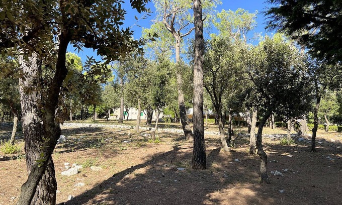 Selva di Fasano House | Trullo Panoramico