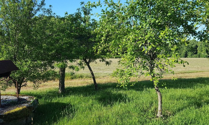 Quistinic House | Ty Prawine, in a quiet, welcoming farmhouse