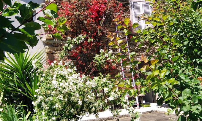 Sorio House | typical Corsican village house in the heart of Nebbio