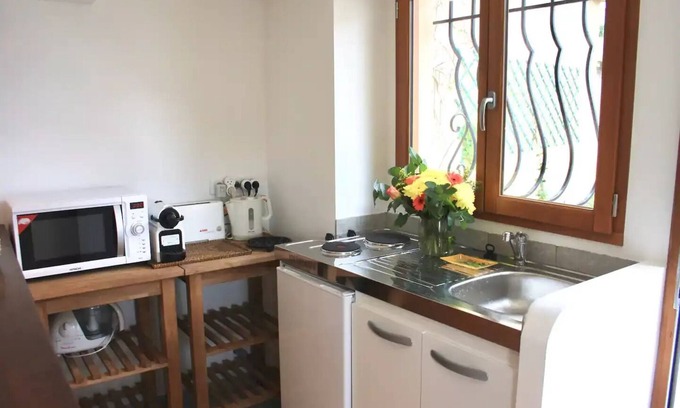 Speracedes Other | Typical small Mazet in Provence