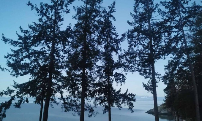 Powell River Apartment | U18 Seaside Serenity: Seal Bay Glamping Retreat