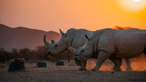 Khorixas Cabin | Ugab Game Farm & Lodge