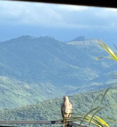 Nimaima Other | Ukiyo Cabin