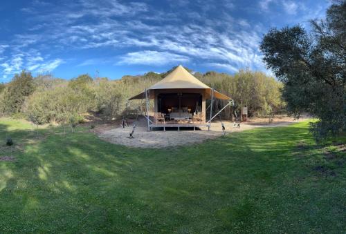 Fingal Other | Ukiyo Nature Retreat