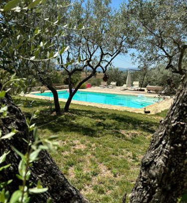 San Brizio Apartment | Uliveto Benedetti