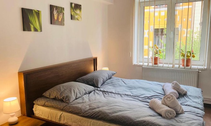 Tirgu Mures Apartment | Ultra-central sweet suite
