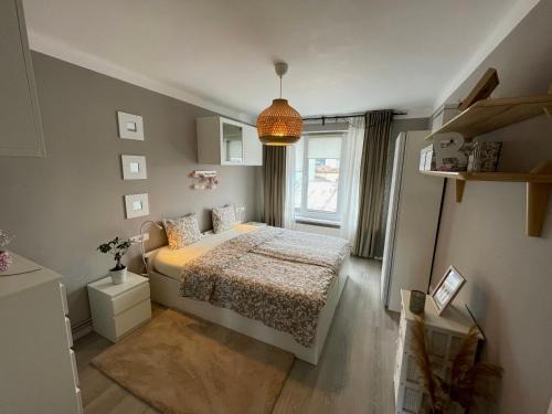 Tirgu Mures Apartment | Ultracentral Apartment BBs Apartment