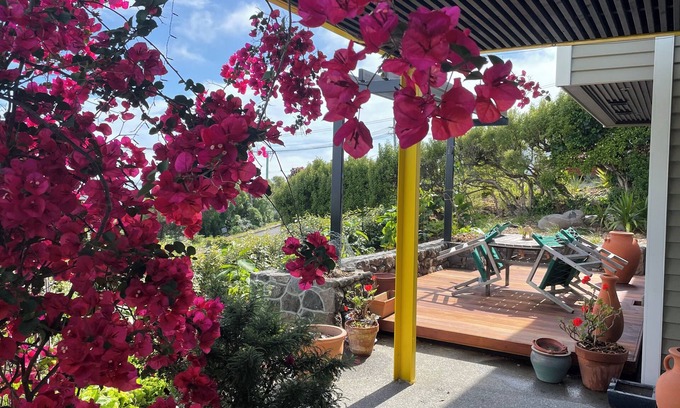 Mount Pleasant Apartment | Under the Yellow Canopy, St Andrews Hill Road, Mt Pleasant, Christchurch NZ