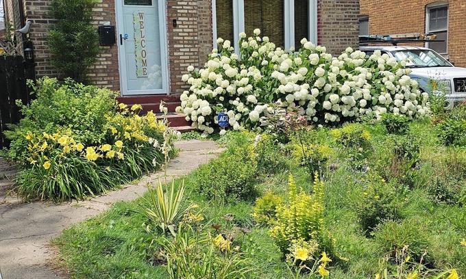 Jeffrey Manor House | Urban Oasis