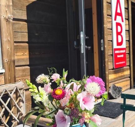 Tallberg House | UTSIKTEN -exklusivt nybyggt timmerhus -Plintsberg.