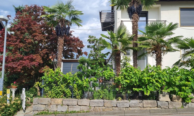 Wannental Apartment | Vacation apartment Am Berg