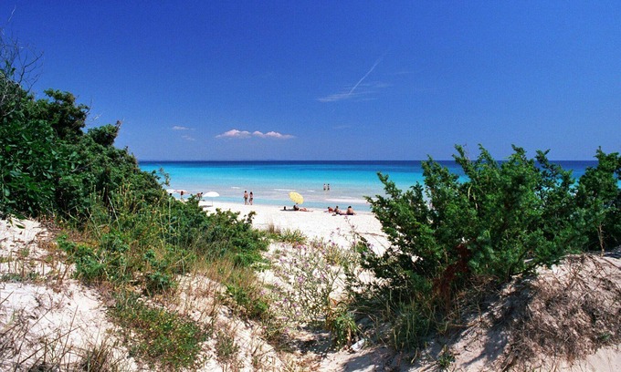 Punta Prosciutto Apartment | Vacation in front of the Sea in Apulia