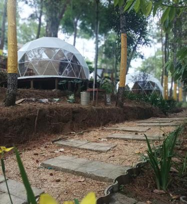 Sidomulyo Other | vanderman land camp
