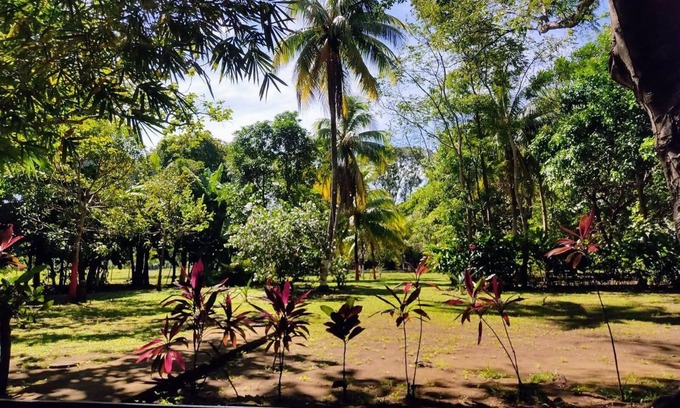 Diriomo House | Verdant's haven. Fully equipped modern villanAC, opt.fiber, amazing surroundings