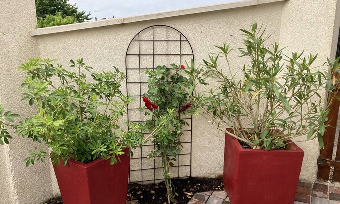 Selles-sur-Cher House | VERY NICE GITE ** SELLES SUR CHER