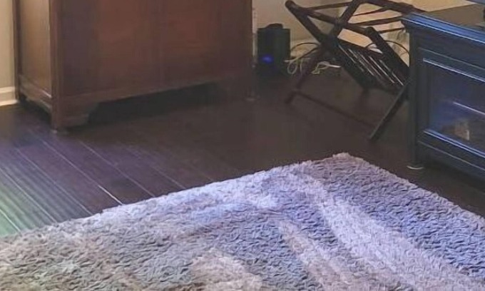 Apex House | Very Private Carriage House Studio!