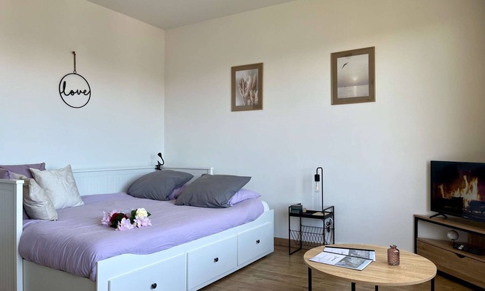 Vannes Apartment | View on historical rooftops of Vannes