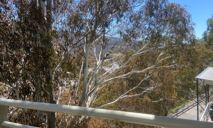 Thredbo Apartment | Views of the mountain