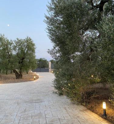 Andria House | Villa Anna