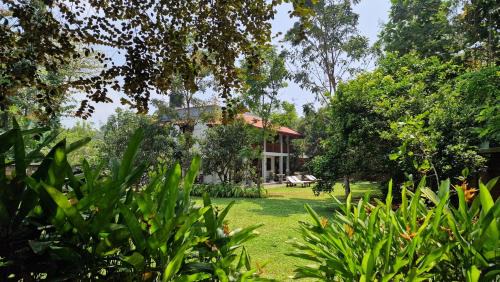 Hettimulla Bed & Breakfast | Villa Arana Bentota