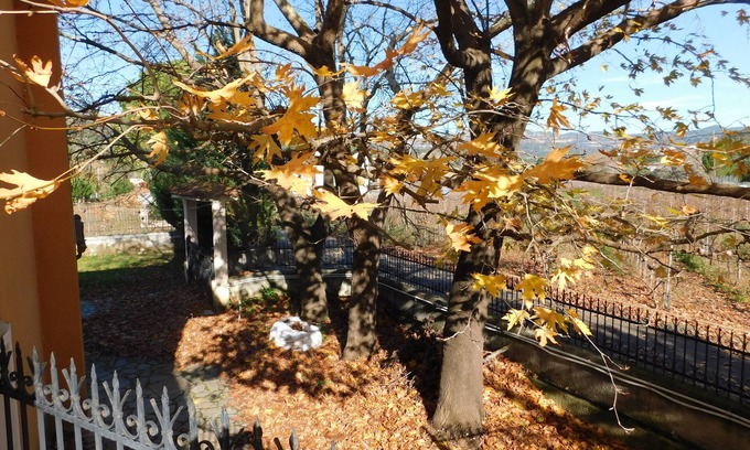 Archaia Olympia Villa | Villa Aris