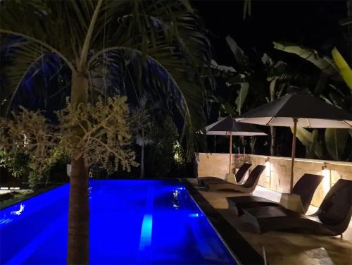 Lovina Villa | Villa Aurora Lovina