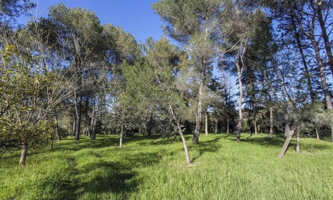 Manduria Cottage | Villa Cardinale in Salento with pinewood and swimming pool. Puglia.