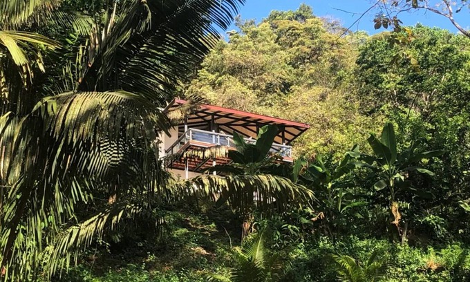 Cedros Villa | Villa copa de árbol, oceanview, pool, beach