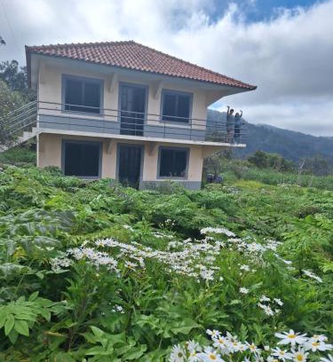 Sao Roque do Faial House | Villa Correia - Ribeiro Frio
