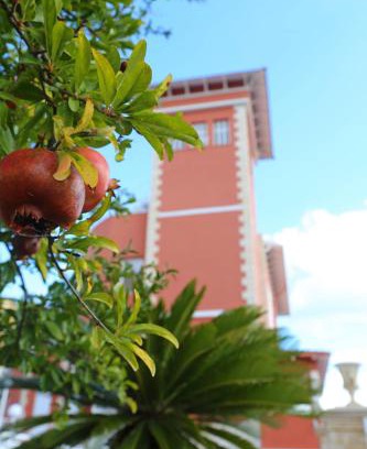 Porticello Bed & Breakfast | Villa Edera Rental Room